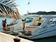 Sealine SC29