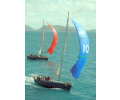 Sailing Services Pty Ltd